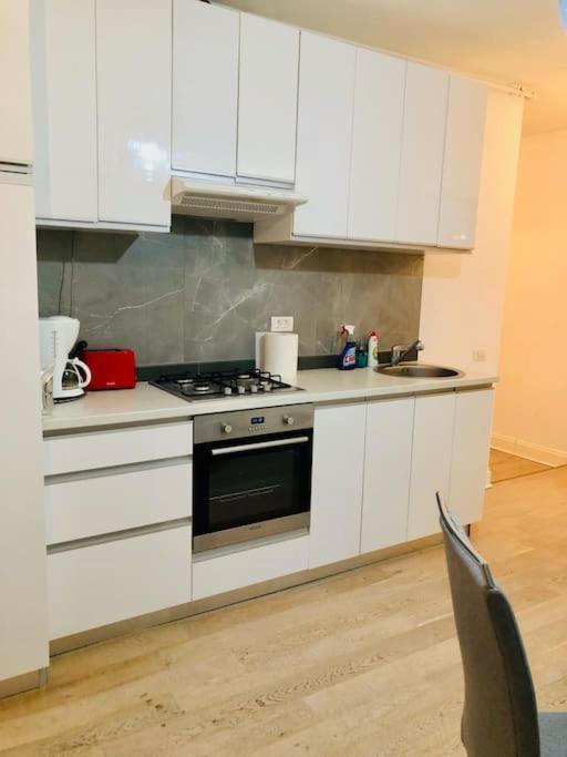 טימישוארה Joy City Stay Nemoianu 7 מראה חיצוני תמונה
