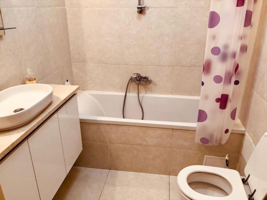 טימישוארה Joy City Stay Nemoianu 7 מראה חיצוני תמונה